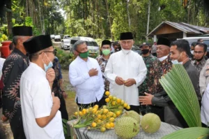 Mendes PDT Serahkan 2 Juta Bibit Kelapa dan Pinang untuk Warga Pariaman