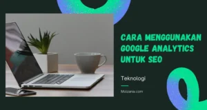 menggunakan Google Analytics untuk SEO