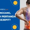 Menkeu Purbaya Curhat Sakit Pinggang, Disuntik 8 Titik, Tak Bisa Berdiri Tanpa Penanganan