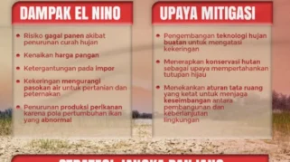 Menteri Pertanian Percepat Lima Strategi Utama Mitigasi Kekeringan Hadapi El Nino