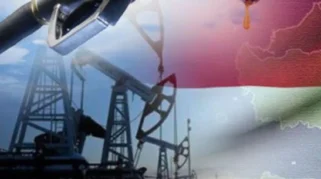 Menteri Pertanian Peringatkan Lonjakan Harga Pestisida Akibat Konflik Timur Tengah