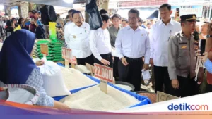 Menteri Pertanian Tekankan Pengurangan Impor Menir Meski Stok Beras Melimpah