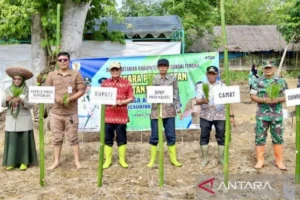 Mitigasi Potensi Kemarau Panjang 2026, Pemkab Banyuwangi Percepat Tanam Padi hingga 672 Hektar
