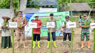 Mitigasi Potensi Kemarau Panjang 2026, Pemkab Banyuwangi Percepat Tanam Padi hingga 672 Hektar