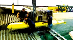 Momen Bebe si Burung Nuri Menyelami Laut Bahama Pakai Kapal Selam Mini