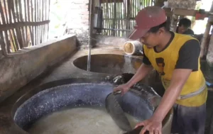 Naiknya Harga Kedelai Paksa Perajin Tahu Jember Pangkas Ukuran dan Karyawan