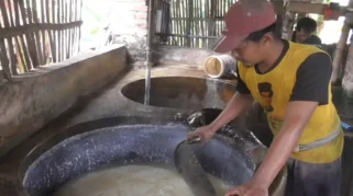 Naiknya Harga Kedelai Paksa Perajin Tahu Jember Pangkas Ukuran dan Karyawan