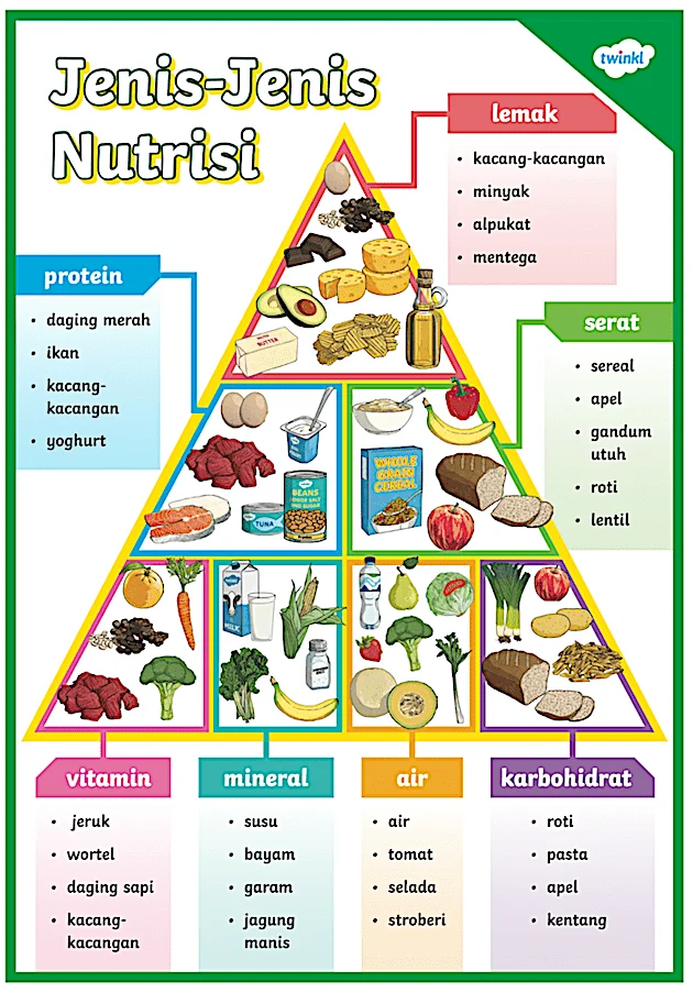 Nutrisi dan Pola Makan untuk Kulit Sehat