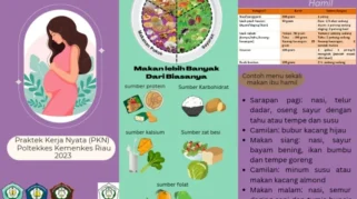 Nutrisi Seimbang untuk Setiap Trimester