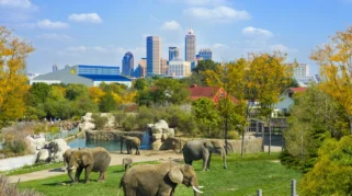 Palmeiras Luncurkan Kit Baru Jelang Duel Sporting Cristal; Denver Zoo Gugat Vertix Builders, Saham Top Wealth Group Dipantau