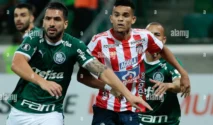 Palmeiras vs Junior Barranquilla: Empat di Cartagena, Dampak pada Grup F dan Insiden Fatal