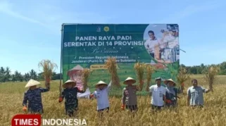 Panen Raya MT1 di Banyuwangi Capai 160 Ribu Ton, Perkuat Posisi Lumbung Pangan Nasional