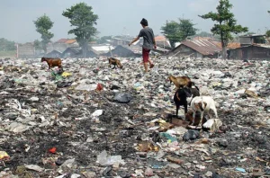 Pansus DPRD DKI Ungkap Sampah Jakarta Mencapai 7.000 Ton per Hari