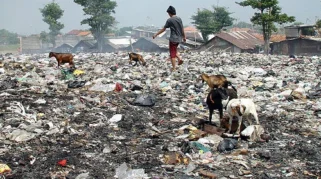 Pansus DPRD DKI Ungkap Sampah Jakarta Mencapai 7.000 Ton per Hari