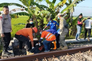 Pejalan Kaki Tertabrak KA Ranggajati di Sumberbaru Jember