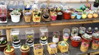 Peluang Usaha Jualan Suvenir Pernikahan Modal Kecil: Mengapa Ini Menjanjikan?