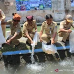 Pemkab Banyuwangi Tebar 2.500 Ikan di Wisata Gerbang Raung untuk Lindungi Ekosistem Sungai