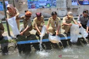 Pemkab Banyuwangi Tebar 2.500 Ikan di Wisata Gerbang Raung untuk Lindungi Ekosistem Sungai
