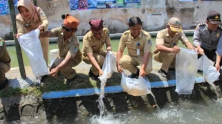 Pemkab Banyuwangi Tebar 2.500 Ikan di Wisata Gerbang Raung untuk Lindungi Ekosistem Sungai