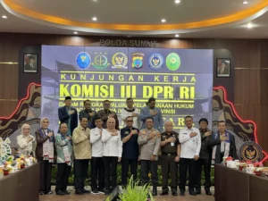 Penangguhan Penahanan Amsal Sitepu di Pengadilan Negeri Medan Dihargai DPR