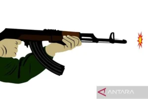 penembakan massal Louisiana