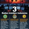 Pengamat UI Ingatkan Pentingnya Pengawasan Publik terhadap Badan Intelijen Strategis
