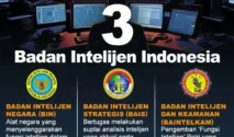 Pengamat UI Ingatkan Pentingnya Pengawasan Publik terhadap Badan Intelijen Strategis