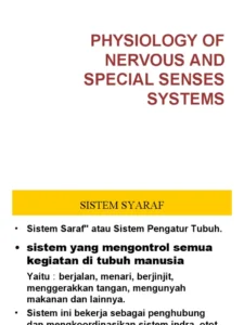 Pengenalan Sistem Saraf dan Kebutuhan Nutrisinya