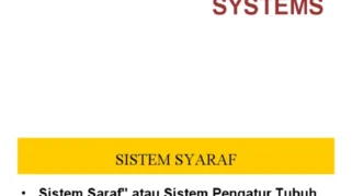 Pengenalan Sistem Saraf dan Kebutuhan Nutrisinya