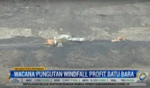 Pengusaha Batu Bara CS Dikenakan Windfall Tax Seiring Lonjakan Harga Komoditas