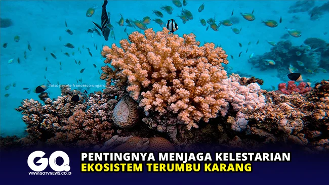 Pentingnya Menjaga Kelestarian Terumbu Karang