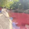 Penyebab Kolam Ikan di Pagar Alam Berubah Menjadi Merah Bikin Heboh Warga
