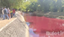 Penyebab Kolam Ikan di Pagar Alam Berubah Menjadi Merah Bikin Heboh Warga