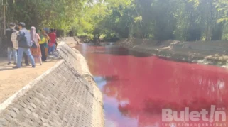 Penyebab Kolam Ikan di Pagar Alam Berubah Menjadi Merah Bikin Heboh Warga