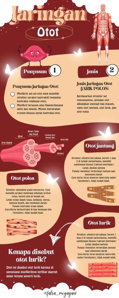 Peran Faktor Lain dalam Kesehatan Otot