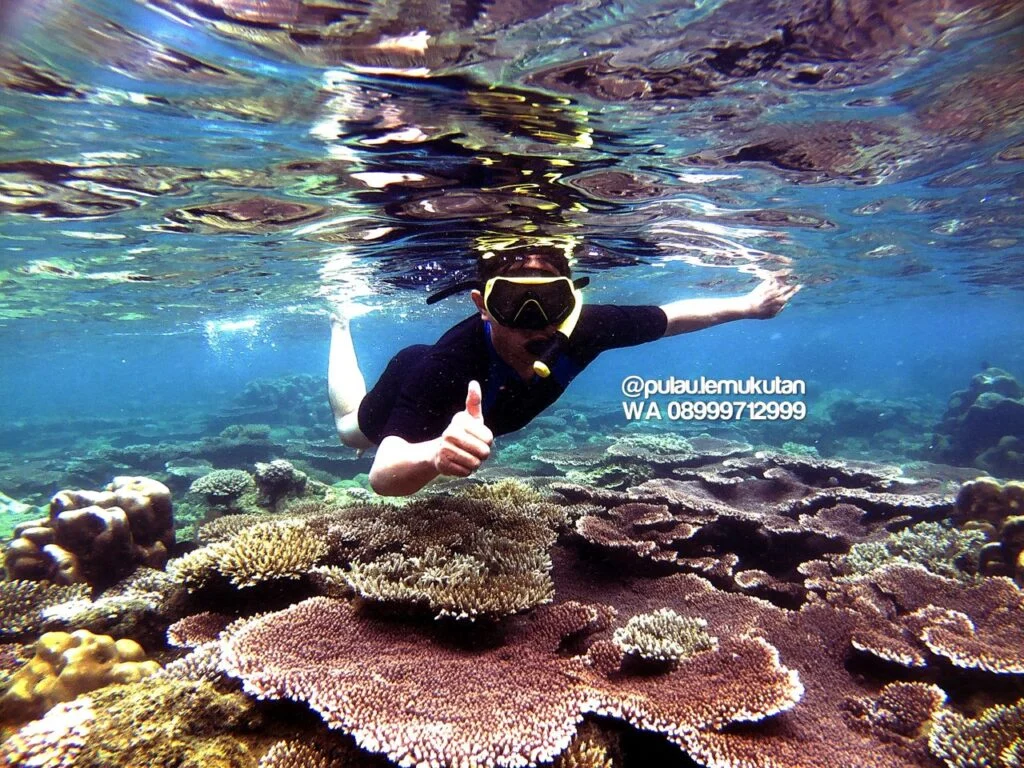 Persiapan dan Tips Snorkeling di Karang Taraje