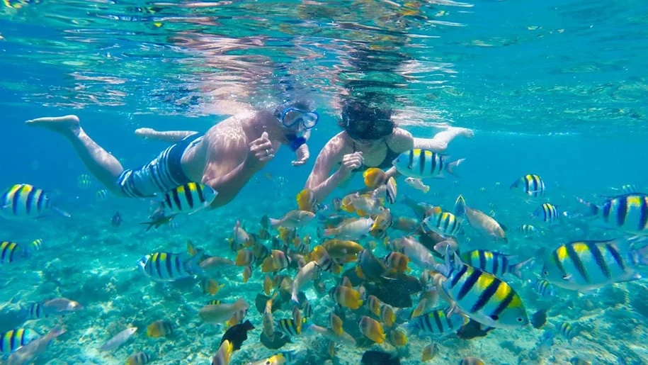 Pertanyaan Umum (FAQ) tentang Snorkeling di Pantai Ciantir