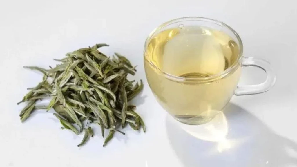 Pertanyaan Umum tentang Teh Putih dan Penurunan Berat Badan