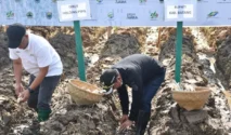 Petani Tebu Ajukan Intensifikasi Lahan dan Perbaikan Data untuk Capai Swasembada Gula