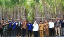 Petani Tebu Optimis RI Capai Swasembada Gula Konsumsi Tahun Depan