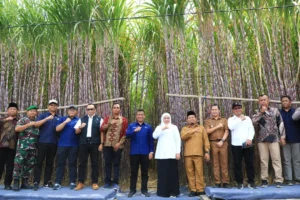 Petani Tebu Optimis RI Capai Swasembada Gula Konsumsi Tahun Depan