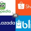 platform e-commerce terbaik untuk pemula: Apa Saja Pilihannya?