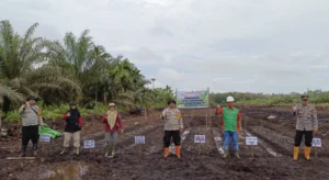 Polsek Kabat Awasi Distribusi Benih Jagung untuk 32 Petani di Desa Dadapan