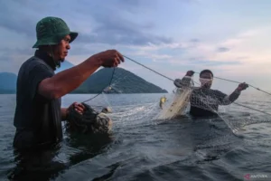 Pramono Akan Bentuk Tim Khusus untuk Tangkap Ikan Sapu‑Sapu di Jakarta