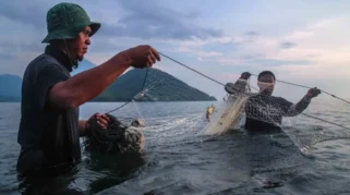 Pramono Akan Bentuk Tim Khusus untuk Tangkap Ikan Sapu‑Sapu di Jakarta