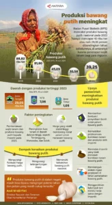 Produksi Bawang Putih Nasional Naik, Pemerintah Tekankan Ketahanan Pangan