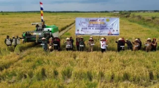 Produksi Padi Banyuwangi Capai 160.239 Ton, Perkuat Lumbung Pangan Nasional