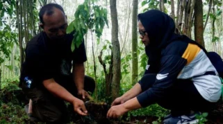 PT POMI Gandeng UNM Jaga Hutan Rakyat di Selobanteng, Situbondo