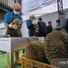Rahasia Durian Indonesia Rebut Pasar China Rp137 Triliun Terbongkar