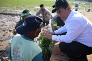 Rehabilitasi Sawah Lambat, Mentan Amran Beri Ultimatum Satu Bulan untuk Selesaikan